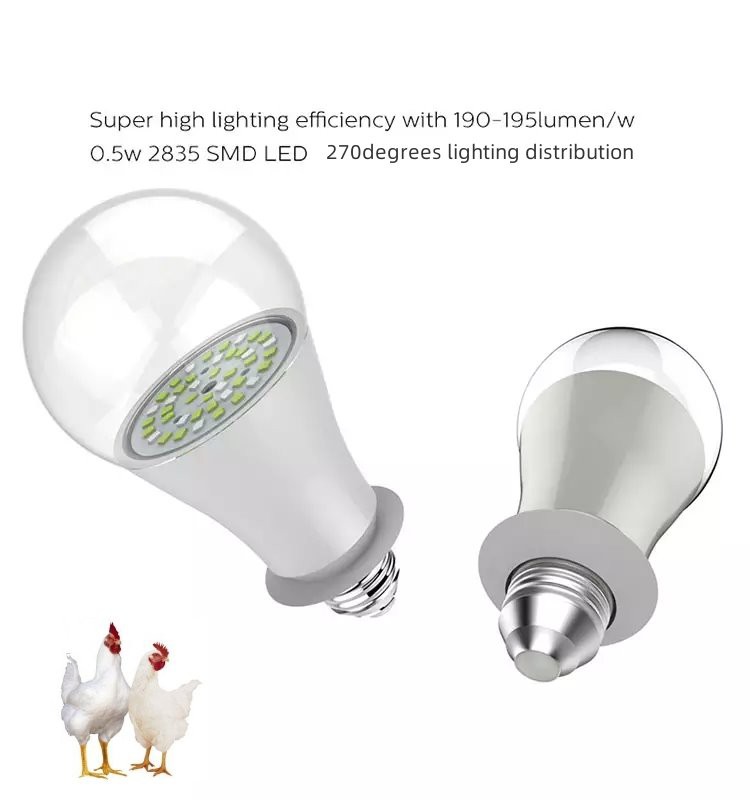 chicken lights led product-750-800
