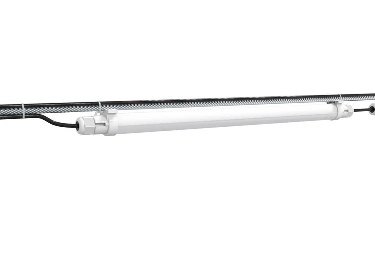 lighting for broilers lighting for broilers