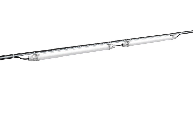 broiler chicken lighting programs