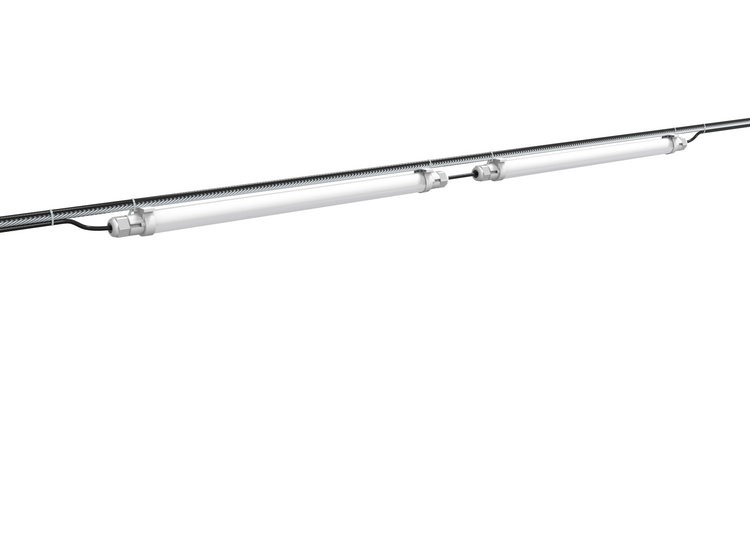 broiler chicken lighting programs - broiler chicken lighting programs -