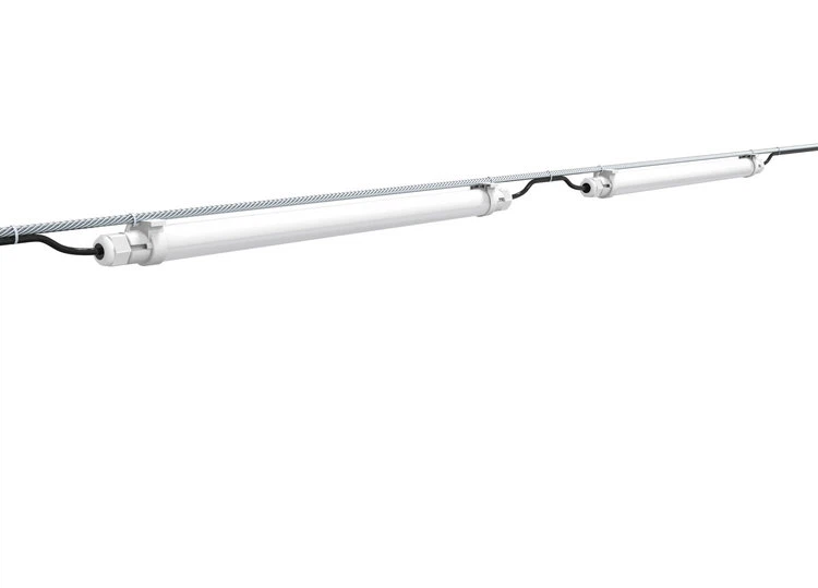 best light for chicken coop