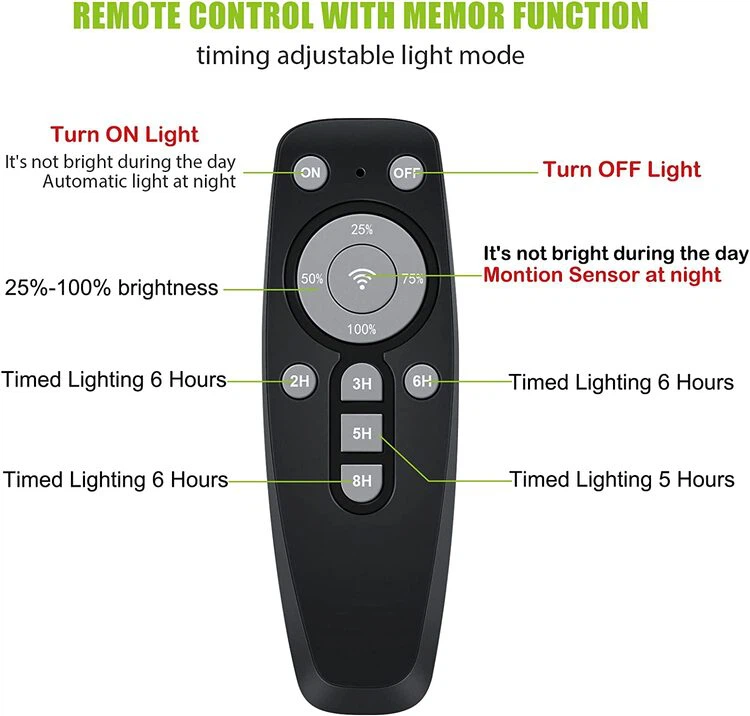 remote