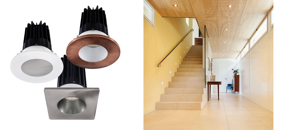 DOWNLIGHT- DOWNLIGHT-