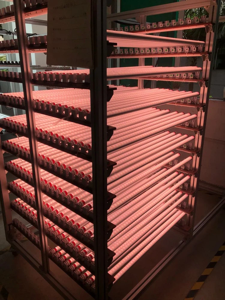 T8 pink color meat tube test T8 pink color meat tube test