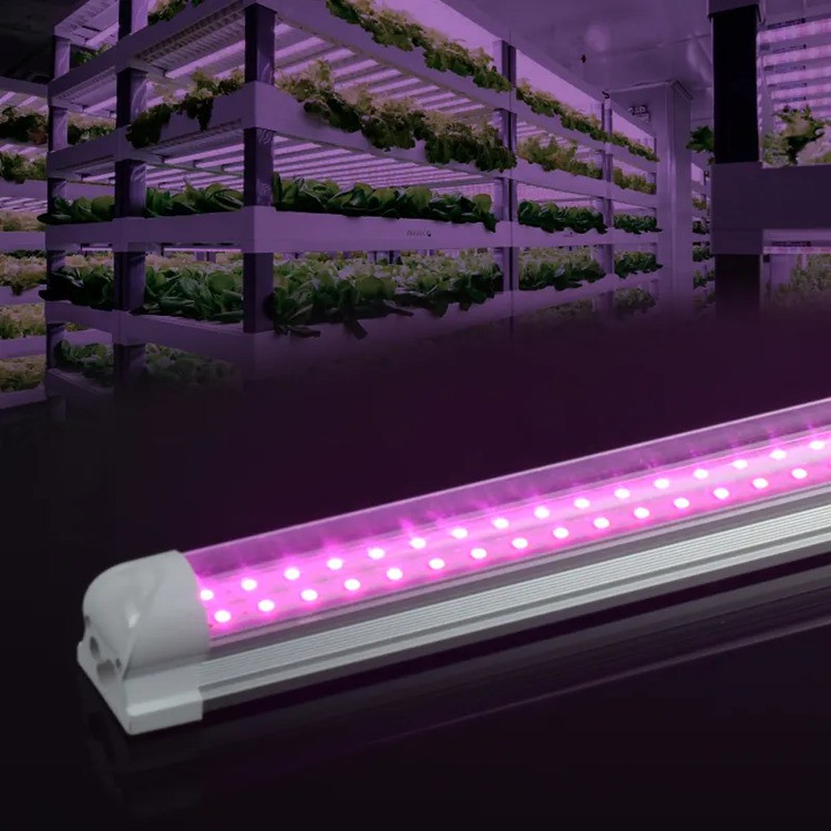 full spectrum led grow lights for indoor plants full spectrum led grow lights for indoor plants