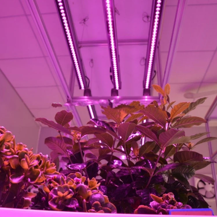 grow lights garden grow lights garden