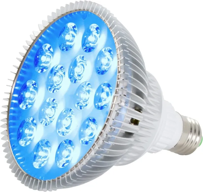 24W Blue LED PAR38 Grow Light 24W Blue LED PAR38 Grow Light