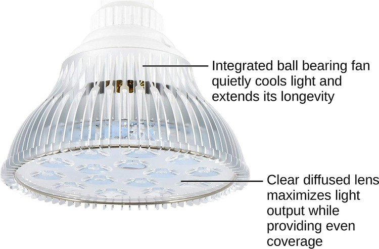 24W Blue LED PAR38 Grow Light 2 24W Blue LED PAR38 Grow Light 2