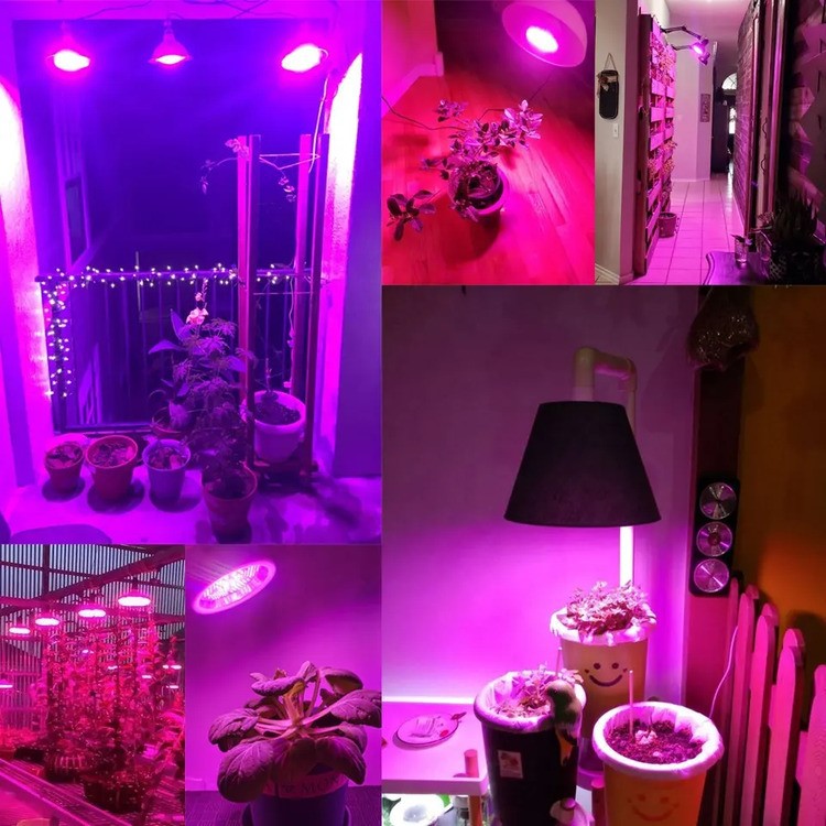 Par38 15W Waterproof LED Grow Light Bulb 3 Par38 15W Waterproof LED Grow Light Bulb 3