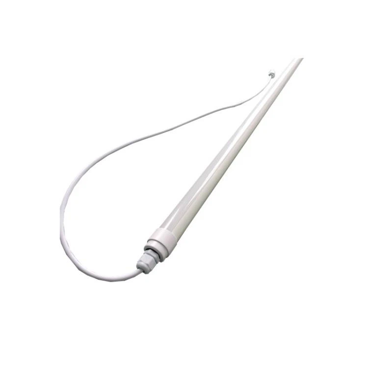 Lighting For Broiler Chickens