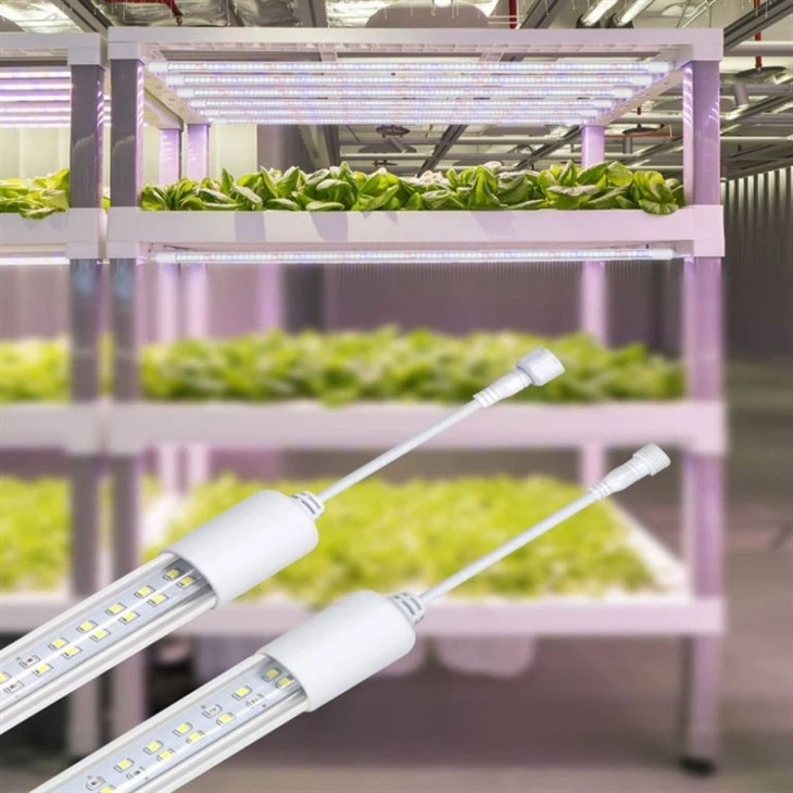 led lights for flowering stage