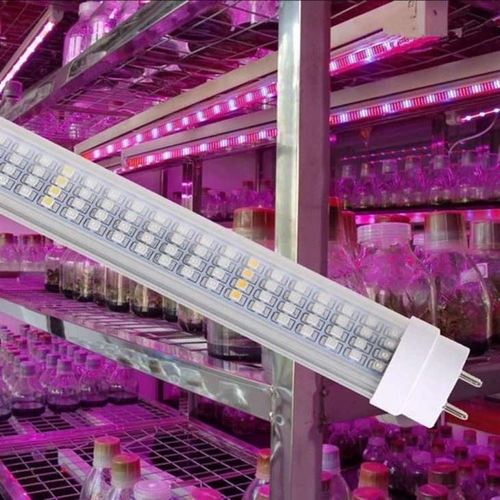 grow lamp for indoor plants