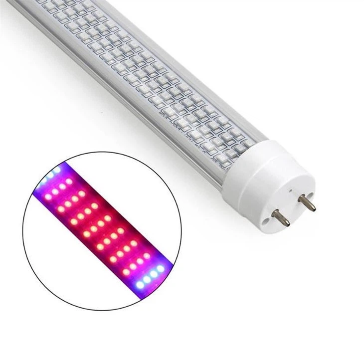 grow bulbs for plants