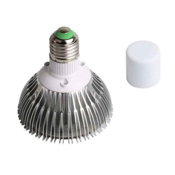 full spectrum daylight bulbs