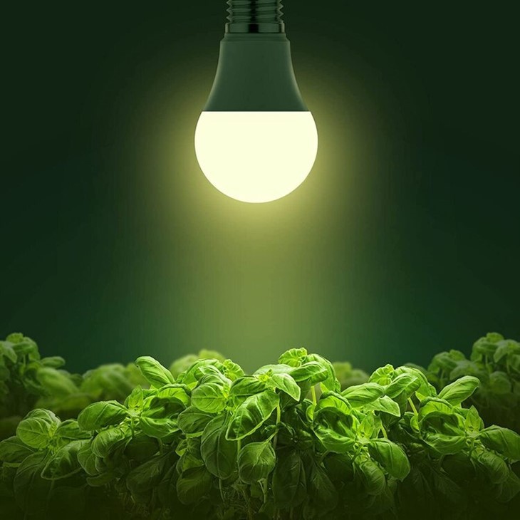 Grow Light Bulb For Indoor Plants
