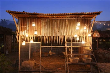 Providing Supplemental Chicken Coop Lighting