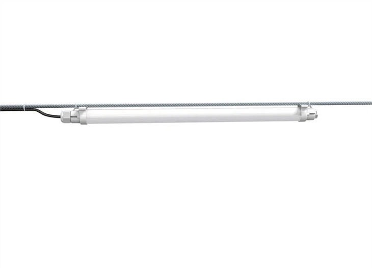 artificial lighting for chickens