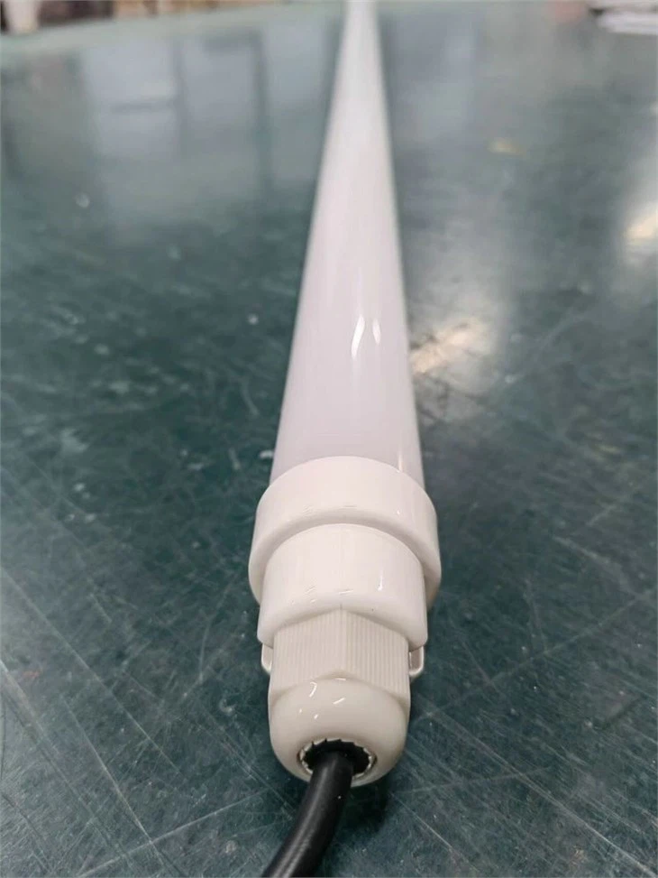 lighting for chicken coop