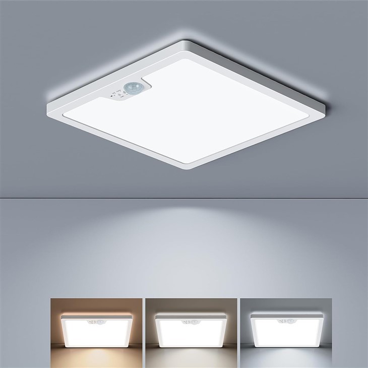Motion Sensor LED Ceiling Light