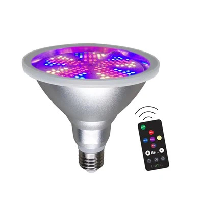 Full Spectrum Lamp With Remote Control