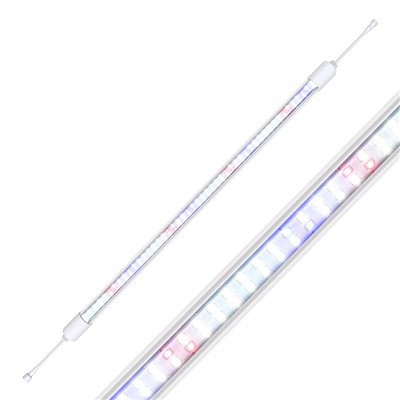 Full Spectrum Light Bulbs For Plant