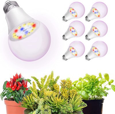 Grow Light Bulb