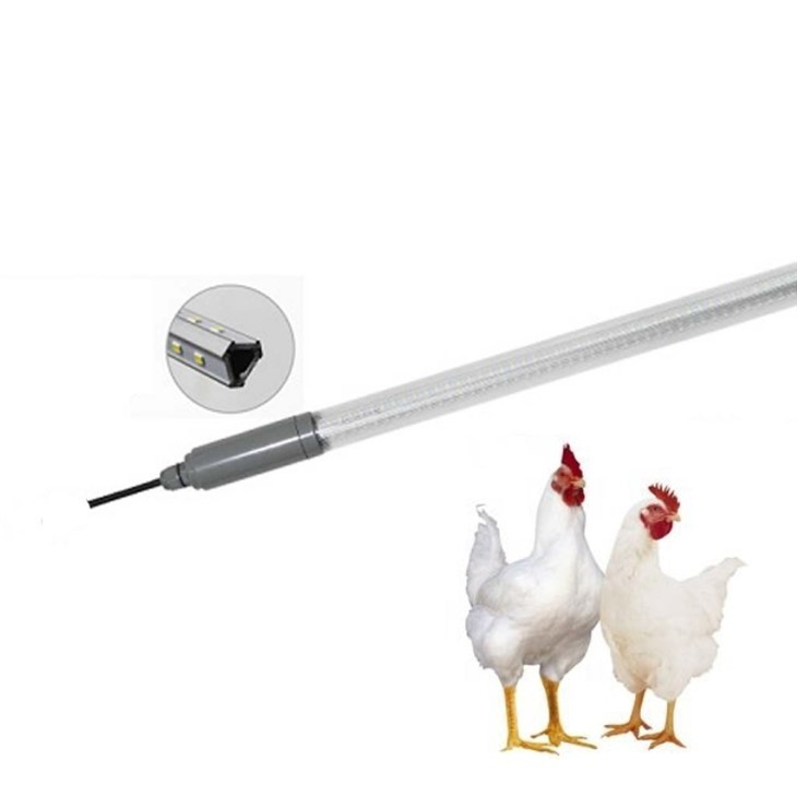 0-12V Dimmable 3400K 12W Chicken Light