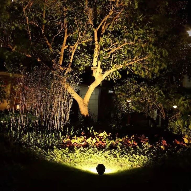 10W IP65 Outdoor LED Wall Light price