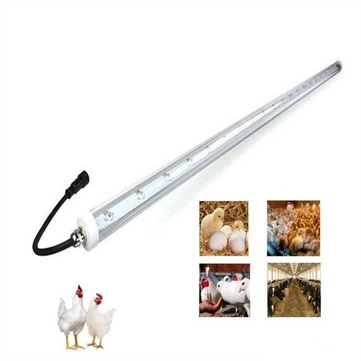 18w Chicken Light Dimmable