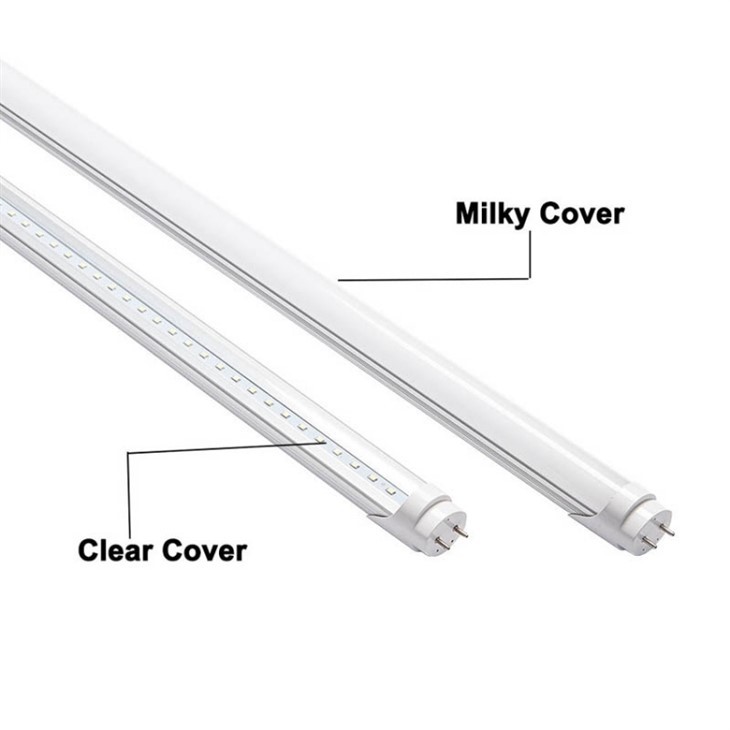 4FT T8 LED Bulbs 5000K Daylight