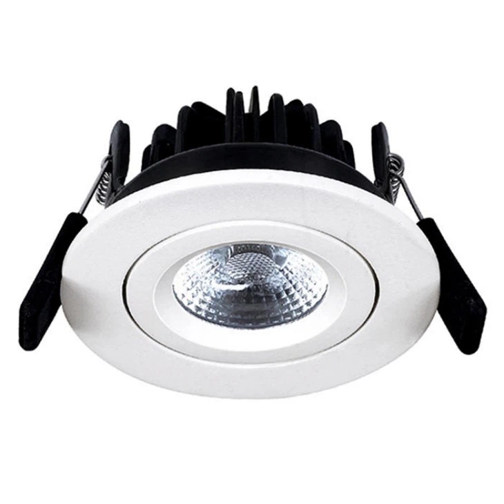 70mm Downlight IP65