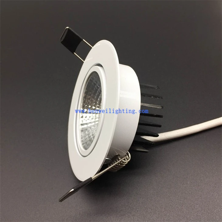 Adjustable Accent Light (2)