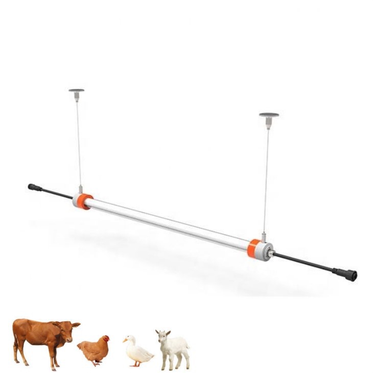 Adjustable-angle Chicken-raising Lamp