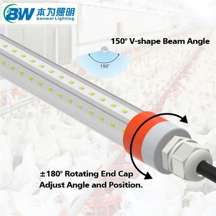 led poultry lighting system