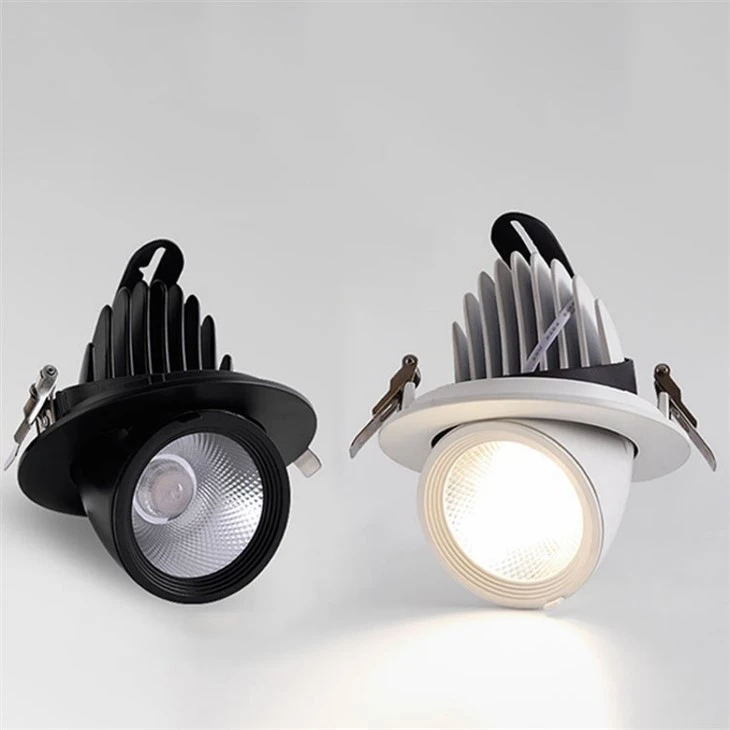 Black White Adjustable Recessed Led Downlight