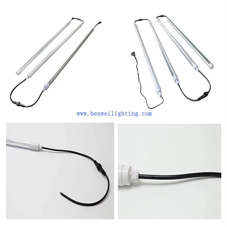 Broiler Rearing Light (2)