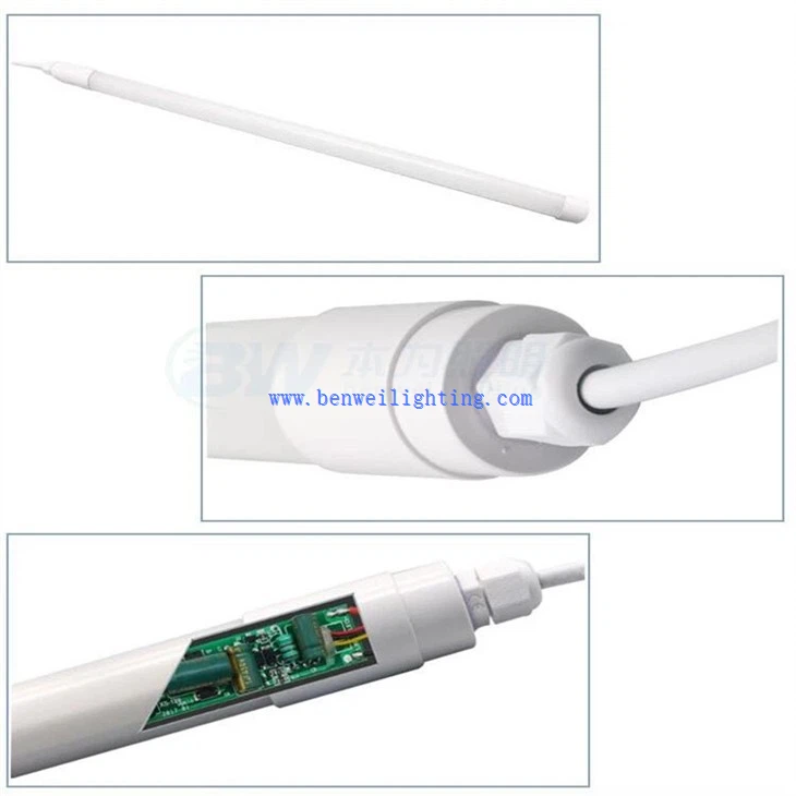 Broiler Rearing Light (3)