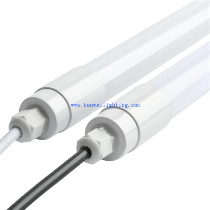 Brooder lights (2)