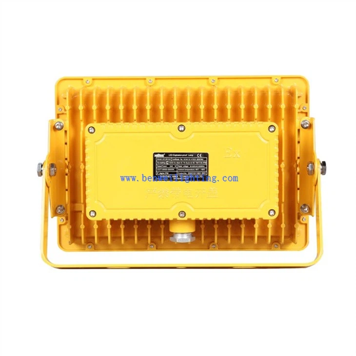 Chemical explosion-proof lamp (4)