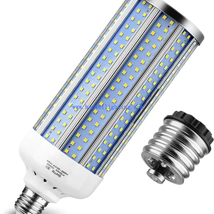 Corn Bulb With Cover (1)
