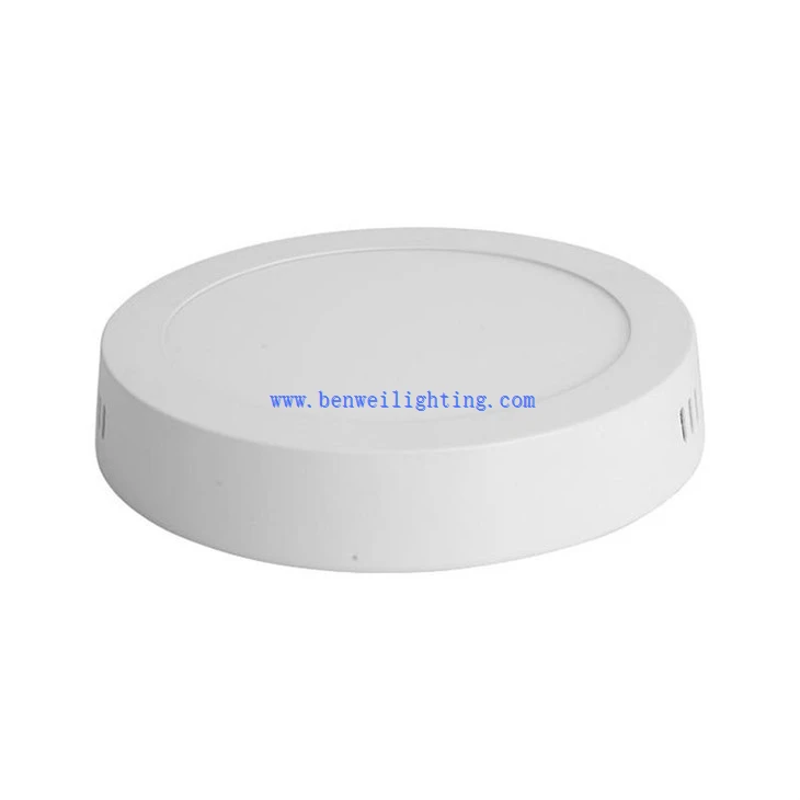 Disk Shaped Ceiling Light (4)