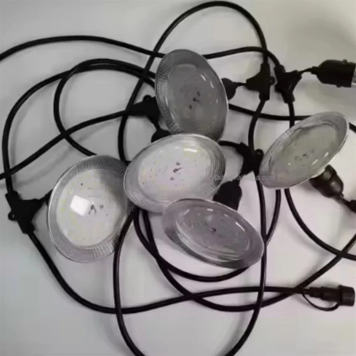 Dragon Fruits Full Spectrum Plant LED Grow Light Bulb price