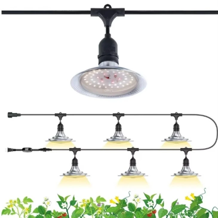 Dragon Fruits Full Spectrum Plant LED Grow Light Bulb suppliers