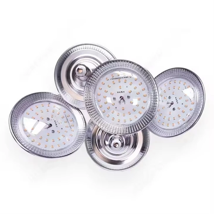 Dragon Fruits Full Spectrum Plant LED Grow Light Bulb factory