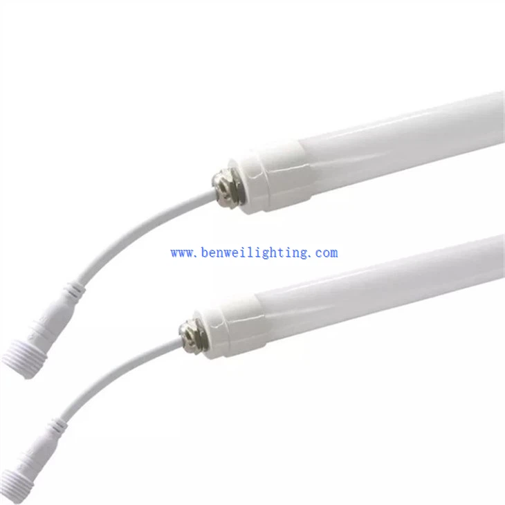 Egg Incubator Light (1)