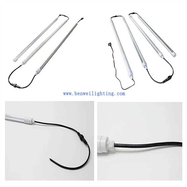 Farmyard Poultry Light (4)