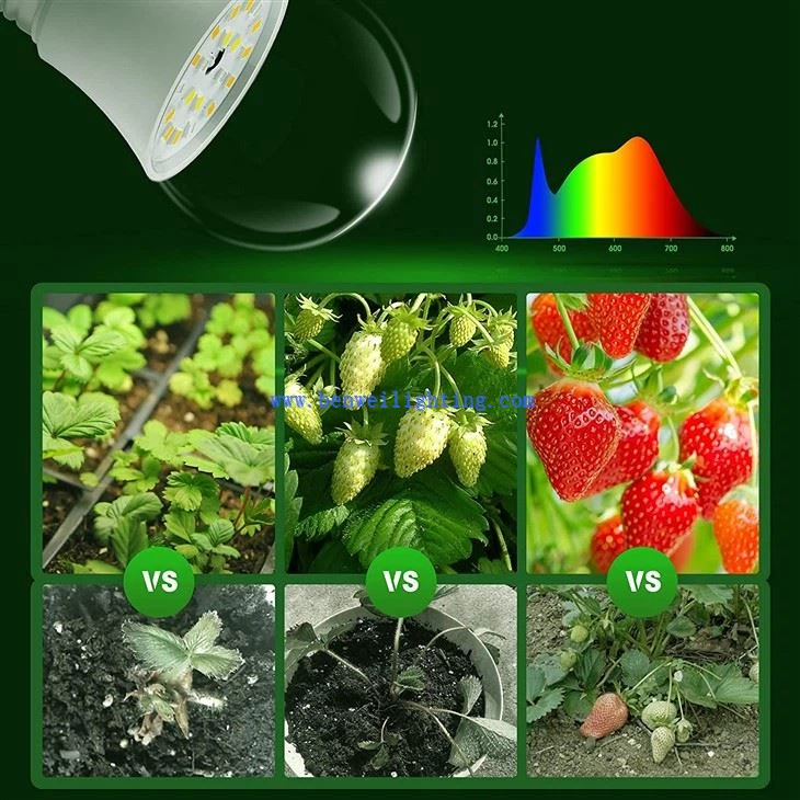 11W Grow Bulb Red & Blue3
