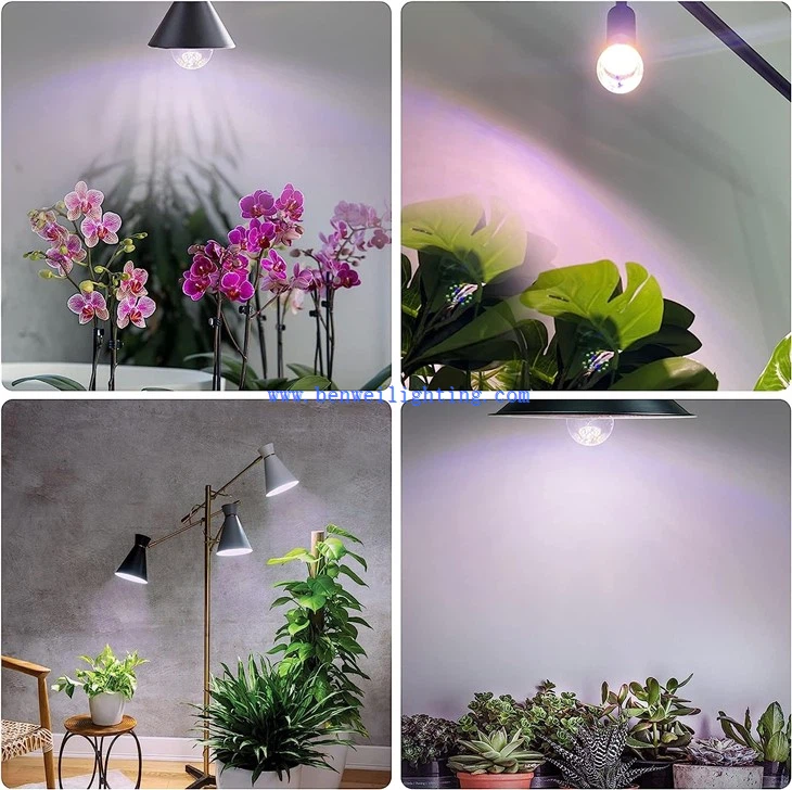 11W Grow Bulb Red & Blue application