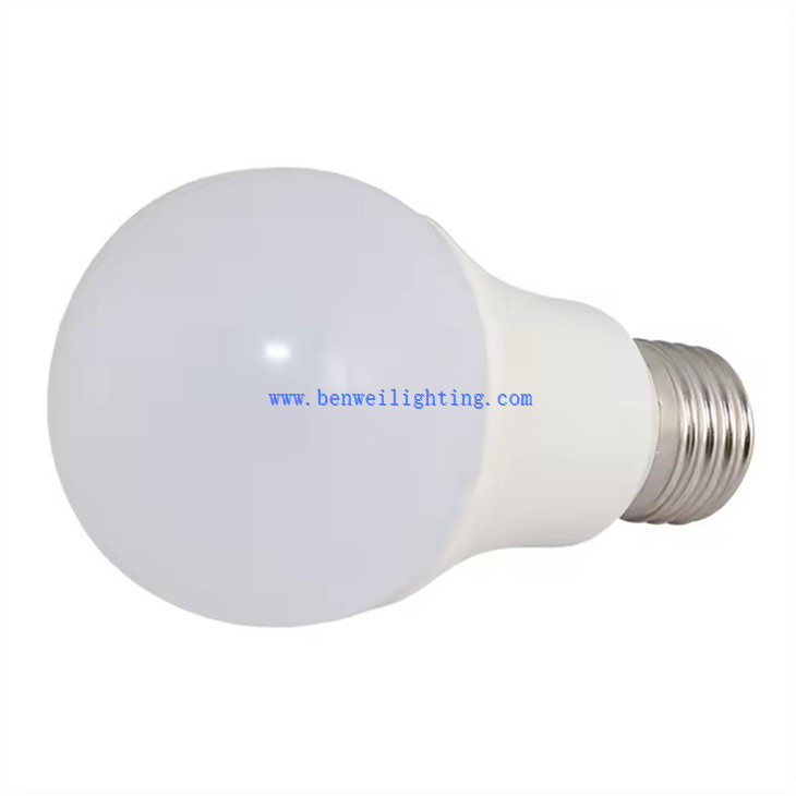 Household Light Bulb (1)