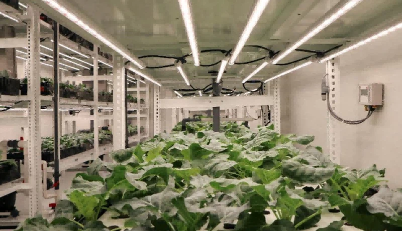 grow led tube installation 3 grow led tube installation 3